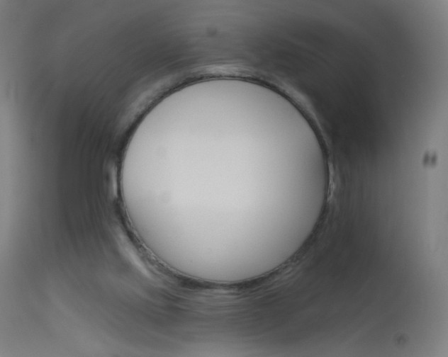 X0000114180061200910081509