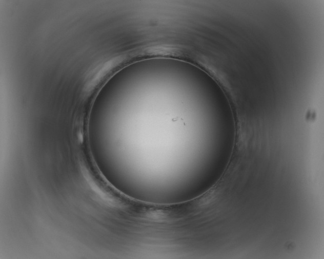 X0000114180062200910081509