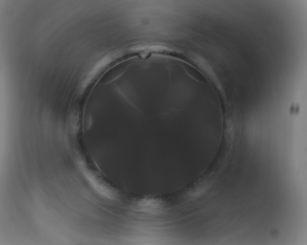 X0000114180063200910081509