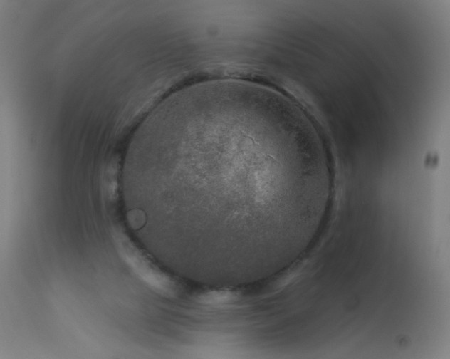 X0000114180065200910081509
