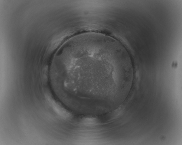 X0000114180066200910081509