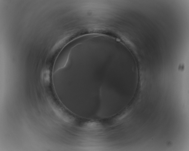 X0000114180067200910081509