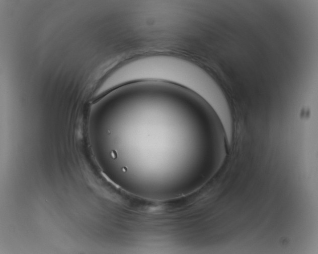 X0000114180068200910081509