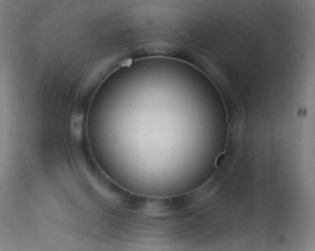 X0000114180070200910081509