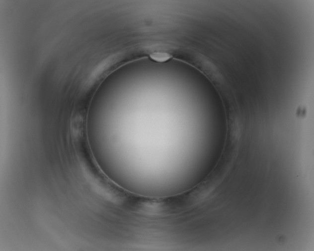 X0000114180071200910081509