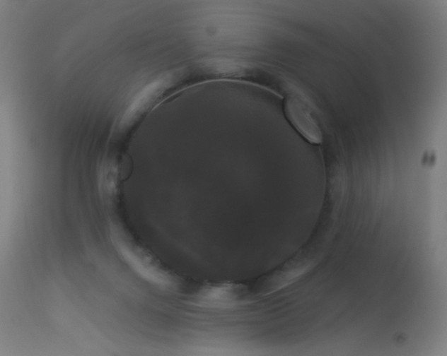 X0000114180072200910081509