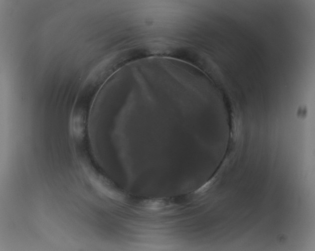 X0000114180074200910081509