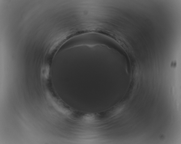 X0000114180076200910081509