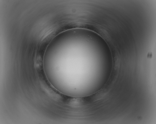 X0000114180077200910081509
