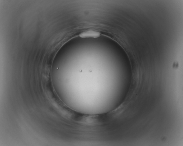 X0000114180078200910081509