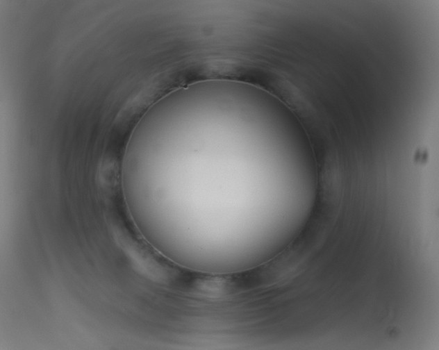 X0000114180079200910081509