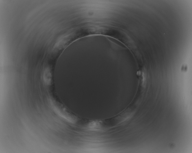 X0000114180080200910081509
