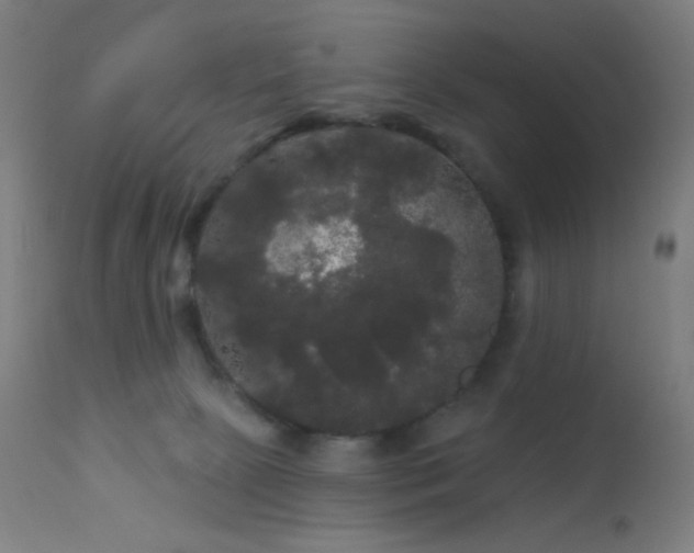 X0000114180081200910081509