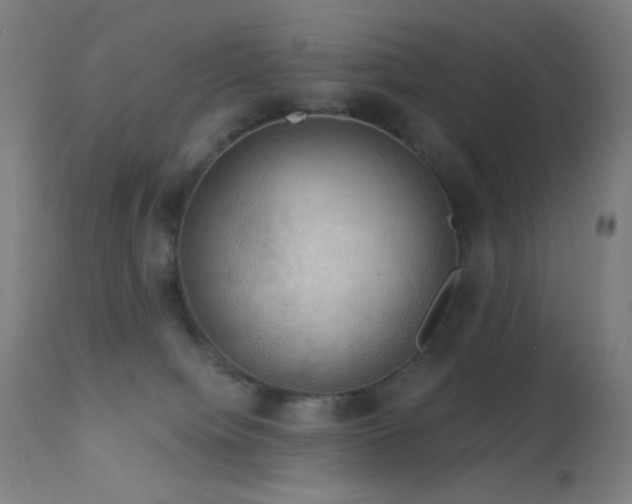 X0000114180084200910081509