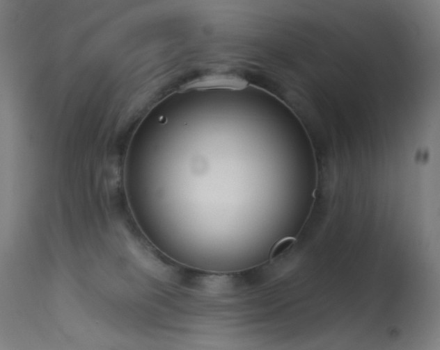 X0000114180085200910081509