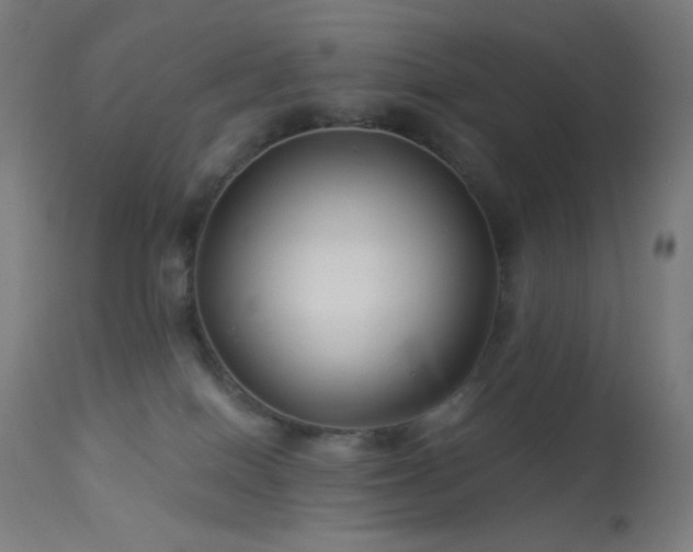 X0000114180086200910081509