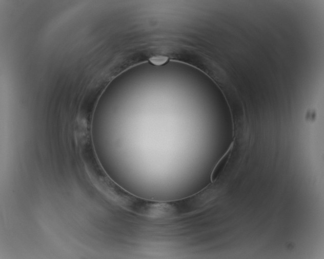 X0000114180087200910081509