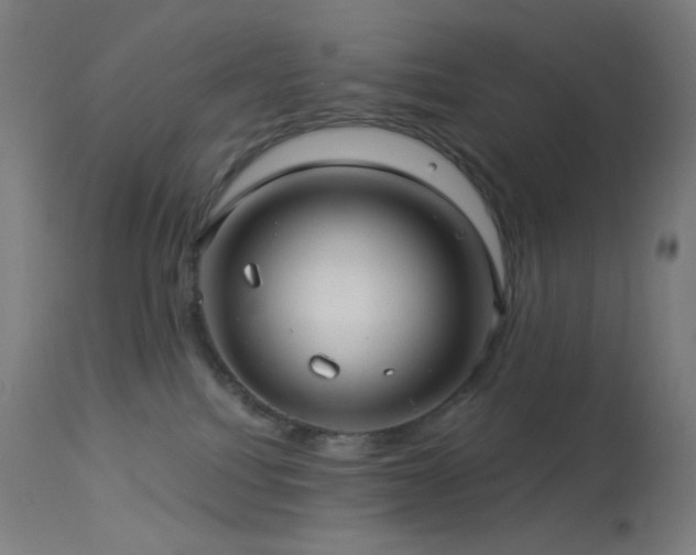 X0000114180088200910081509