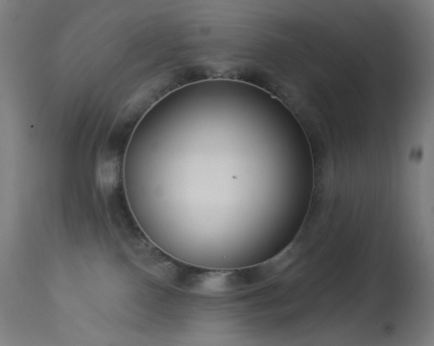 X0000114180090200910081509