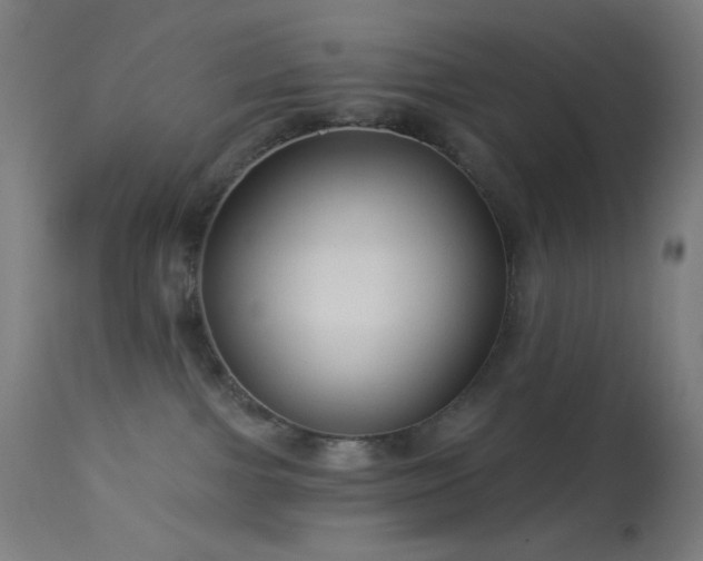 X0000114180091200910081509