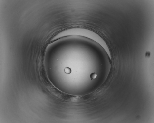 X0000114180092200910081509