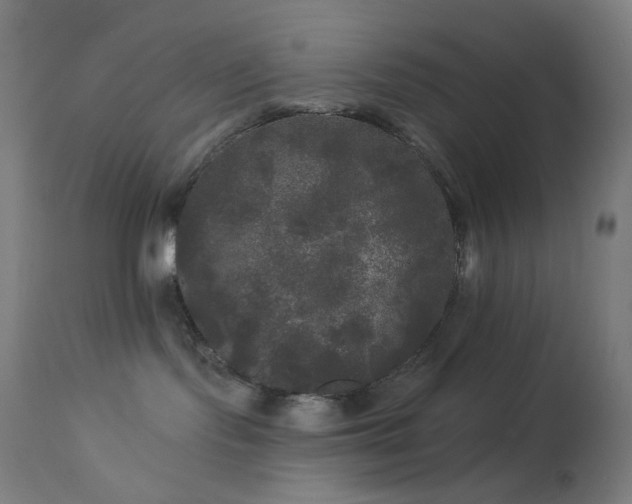 X0000114180095200910081509