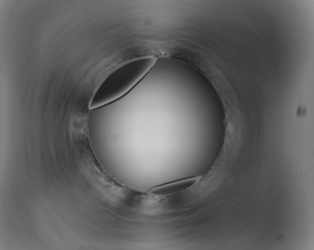 X0000114180096200910081509