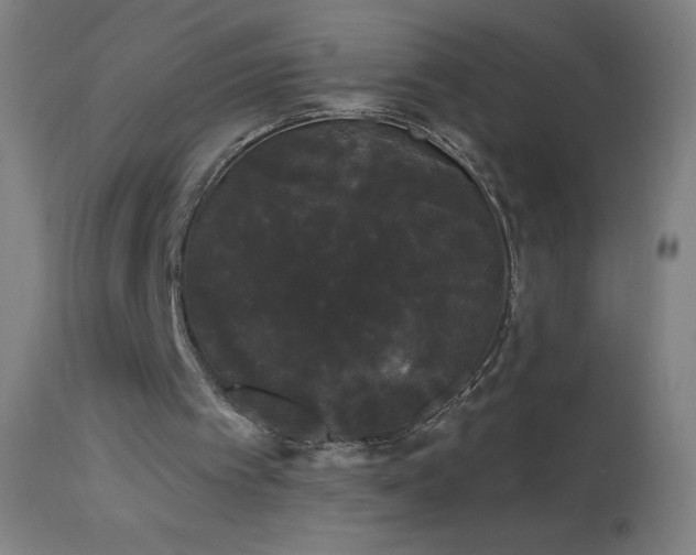 X0000114180097200910081508