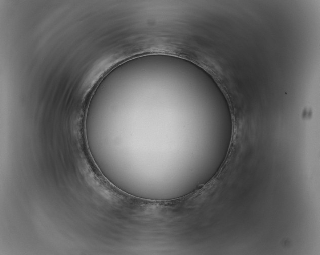 X0000114180098200910081508