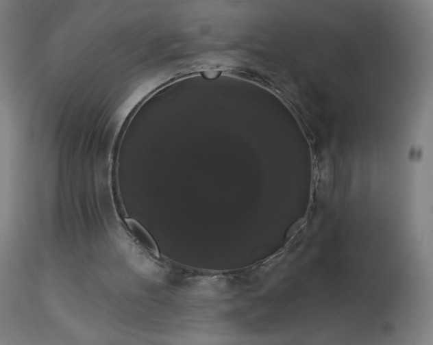 X0000114180100200910081508