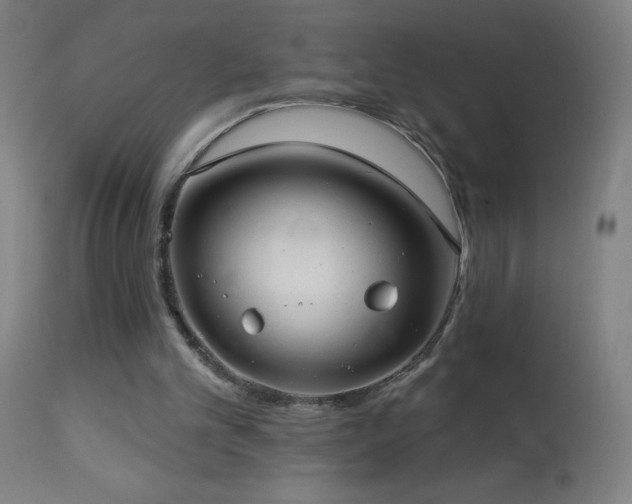 X0000114180101200910081508