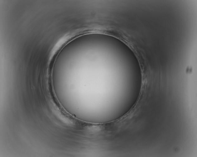 X0000114180102200910081508