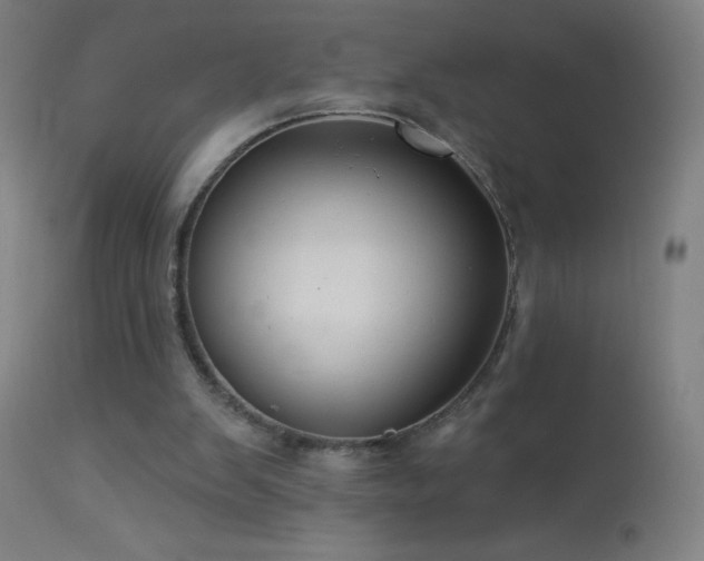 X0000114180103200910081508