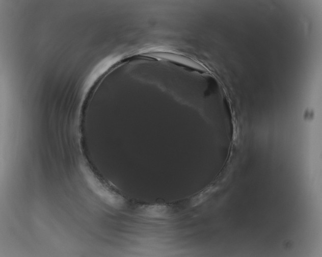 X0000114180104200910081508