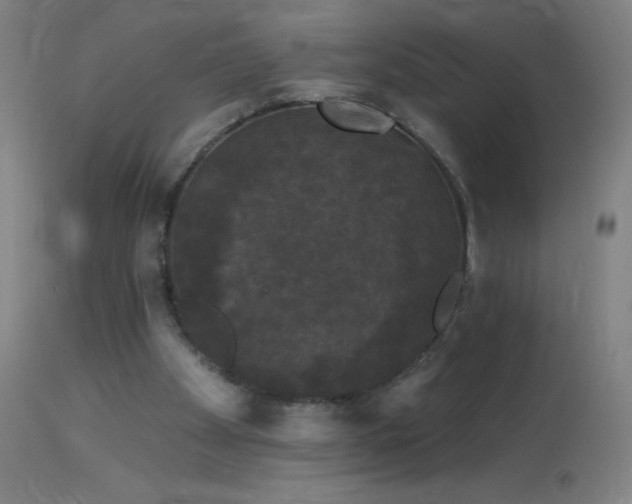 X0000114180105200910081508