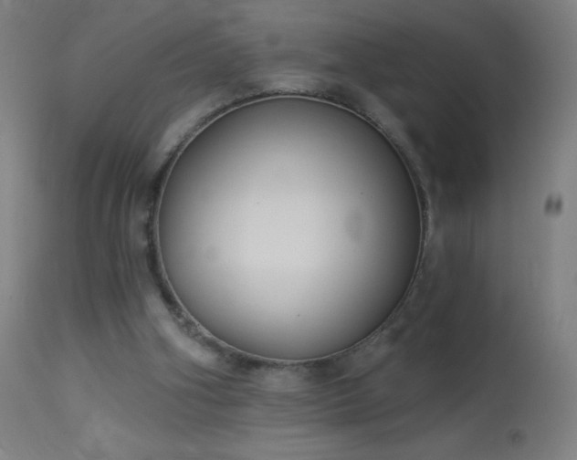 X0000114180106200910081508