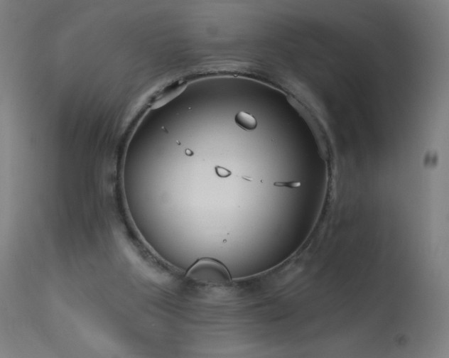 X0000114180107200910081508