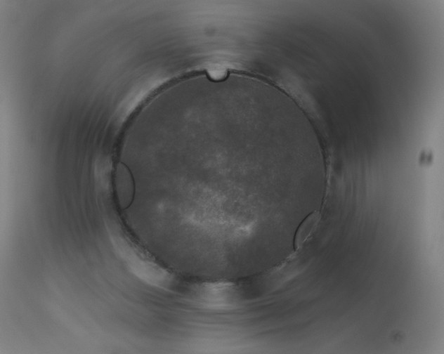 X0000114180108200910081508