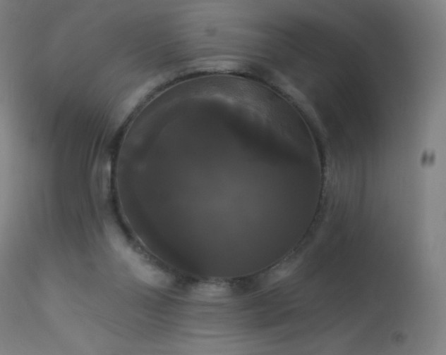 X0000114180110200910081508