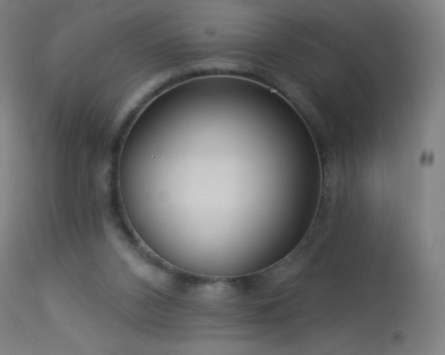X0000114180112200910081508