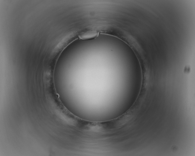 X0000114180113200910081508