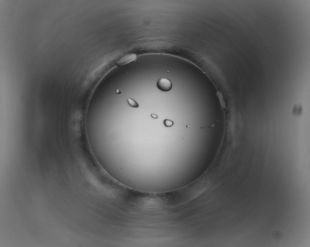 X0000114180115200910081508