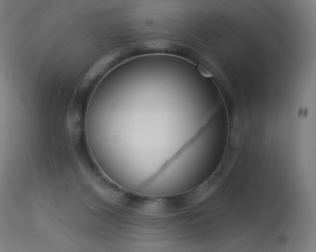 X0000114180116200910081508