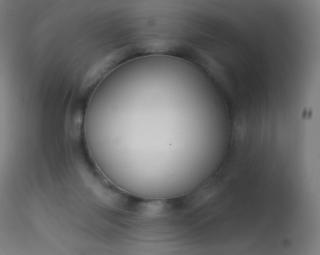 X0000114180118200910081508