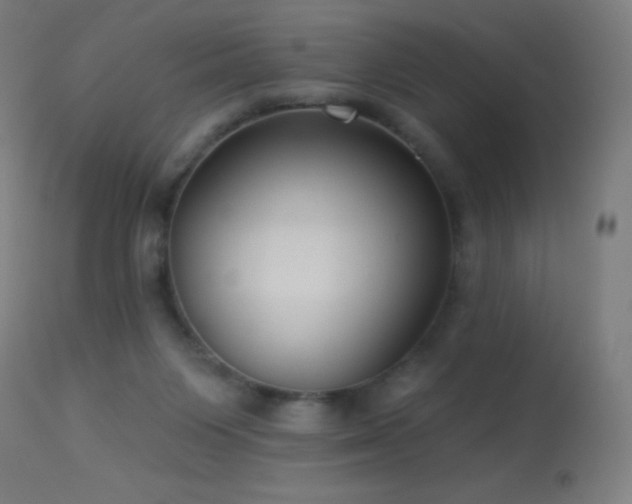 X0000114180119200910081508