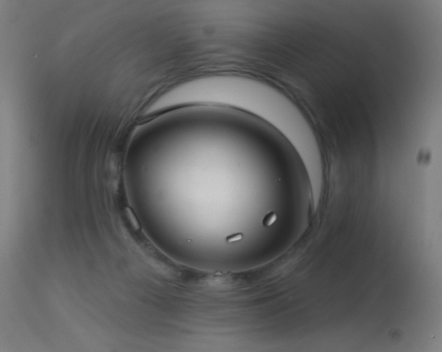 X0000114180121200910081508