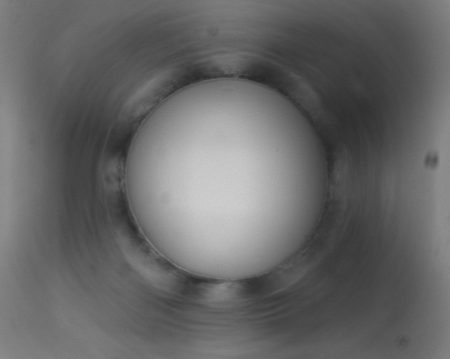 X0000114180122200910081508