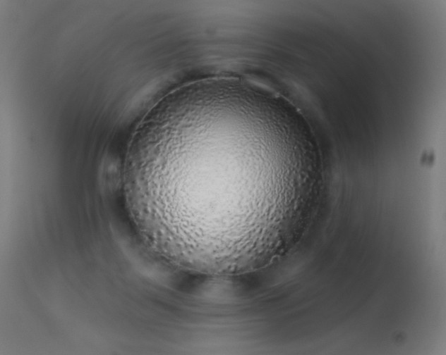 X0000114180123200910081508