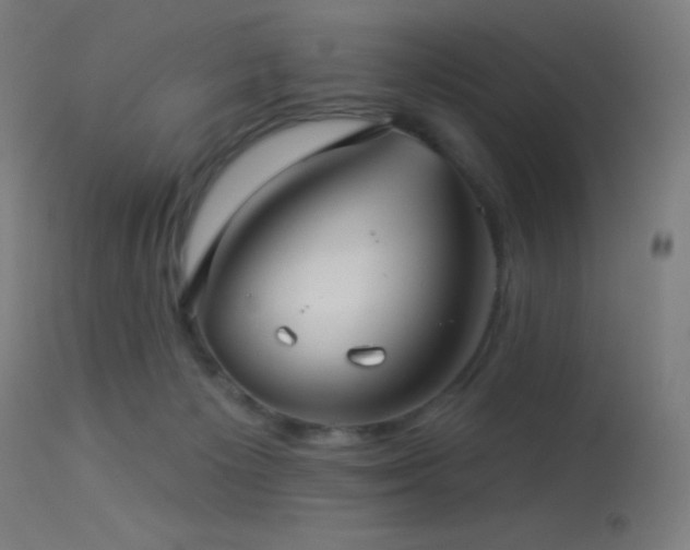 X0000114180125200910081508