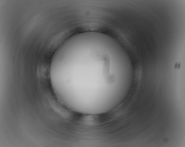 X0000114180126200910081508